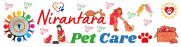 Nirantara – Pet Care